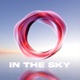 In the Sky Single