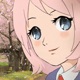 Afterschool Sakura