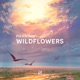 Wildflowers Single