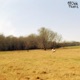 Light As Leaving EP