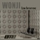 Low Intentionz Single
