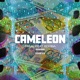 Caméléon feat Booba Single