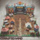Boomtown Dub feat Bully Single