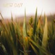 New Day Single