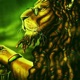 Red Green Gold Single