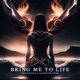 Bring Me To Life Single