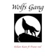 Wolfs Gang Single