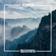 Beginning Single