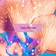 Take Me Out Single