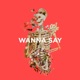 Wanna Say Single