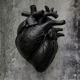 Cant Love You Single