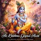 He Krishna Gopal Hari Single