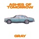 Ashes of Tomorrow Single