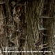 The Magic That You Do Is Only for Today EP