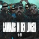 CANNABIS IN DEN LUNGEN Single
