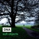 Soft Objects Single