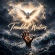 TROUBLED WATERS Radio Edit Single