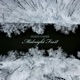 Midnight Frost Single