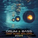 Drum Bass Deep Bass Rollers 2025