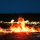 Aromatic vol 1 EP