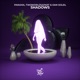 Shadows Single