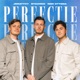 Perfectie Single
