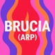 BRUCIA ARP Instrumental Single