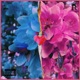 Me You Vol 2 Single