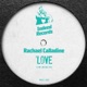 Love Single