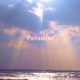 Paradise Single
