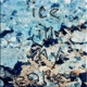 Ice in My Bones Single