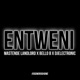 Entweni Single