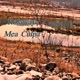 Mea Culpa Single