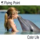 Color Life Single