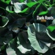 Dark Roots Single