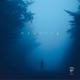 meaning Remixes Single