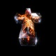 Afterimage Single