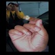 Eastside Ho feat Lulmikey Single