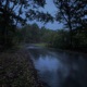 Ambient Downfall feat Amé Moonlit Mist Single