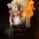 Everything is Burning Metanoia Addendum