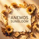Sunbloom