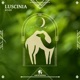 Luscinia Single