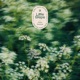Little Steps Single