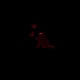 Stray Single