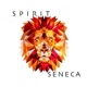 Spirit