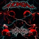 MORTAL Single