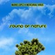 Sound of Nature Mercurial Virus Remix Single