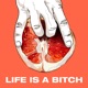 Life Is A Bitch Single