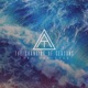 The Changing of Seasons Single