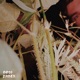 Best Of 20 Single